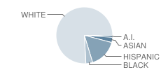 Columbine Hills Elementary School Student Race Distribution