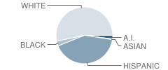 Pennington Elementary School Student Race Distribution