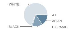 Ryan Elementary School Student Race Distribution