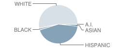 Hudson Elementary School Student Race Distribution