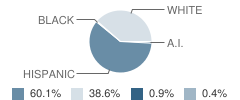 Centauri Middle School Student Race Distribution