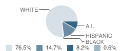 Mancos Elementary School Student Race Distribution