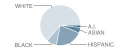 North Elementary School Student Race Distribution