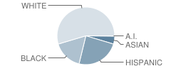 Venetucci Elementary School Student Race Distribution