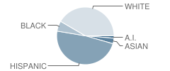 Stukey Elementary School Student Race Distribution