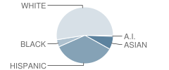 Westview Elementary School Student Race Distribution