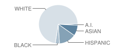 Mountain View Elementary School Student Race Distribution