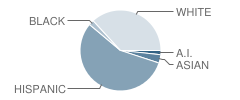 Rocky Mountain Elementary School Student Race Distribution