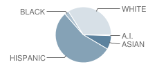 Iver C. Ranum High School Student Race Distribution