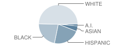 Murphy Creek K-8 School Student Race Distribution