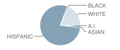 Skyview Expeditionary Learning School Student Race Distribution