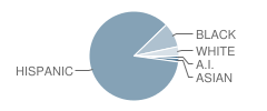 Fletcher Intermediate Science & Technology School Student Race Distribution