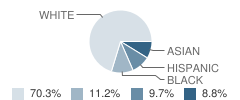 Buffalo Trail Elementary School Student Race Distribution