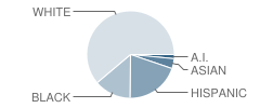 Mcauliffe Elementary School Student Race Distribution