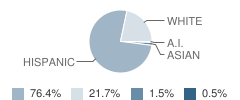 Enrichment Academy Student Race Distribution