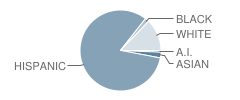 Josephine Hodgkins Elementary School Student Race Distribution