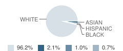 Canton Middle School Student Race Distribution