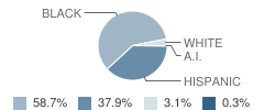 Clemente Leadership Academy Student Race Distribution