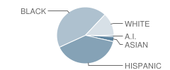 Ross / Woodward School Student Race Distribution