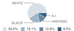 Deborah-Tennant Zinewicz School Student Race Distribution