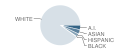 Preston Veterans' Memorial School Student Race Distribution