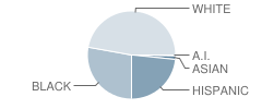 Waterbury Arts Magnet School (Middle) Student Race Distribution