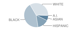 Wintergreen Interdistrict Magnet School Student Race Distribution