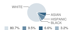 Frank A. Berry School Student Race Distribution