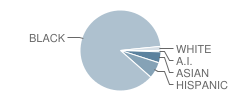 Metacomet School Student Race Distribution