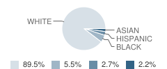 Bolton Center School Student Race Distribution