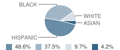 Webster School Student Race Distribution