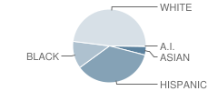 Clara T. O'connell School Student Race Distribution