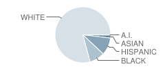 Northeast Middle School Student Race Distribution