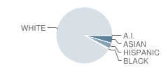 Whisconier Middle School Student Race Distribution