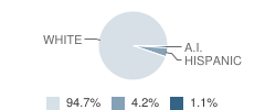 Lee H. Kellogg School Student Race Distribution