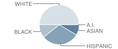 Danbury High School Student Race Distribution