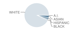 Darien High School Student Race Distribution