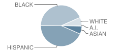 Anna E. Norris School Student Race Distribution