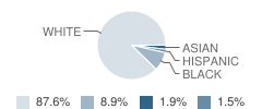 Nathan Hale School Student Race Distribution