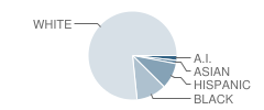 Mary Morrisson School Student Race Distribution