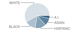 Pleasant Valley School Student Race Distribution