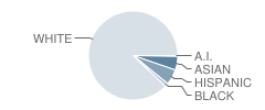 A. W. Cox School Student Race Distribution