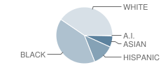 Dunbar Hill School Student Race Distribution