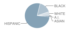 M. D. Fox Elementary School Student Race Distribution