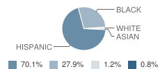 Quirk Middle School Student Race Distribution