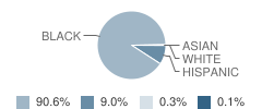 Rawson School Student Race Distribution