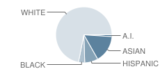 Dorothy C. Goodwin School Student Race Distribution