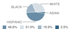 Casimir Pulaski School Student Race Distribution