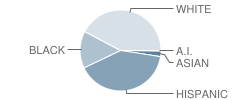 Francis T. Maloney High School Student Race Distribution