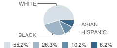 Snow School Student Race Distribution